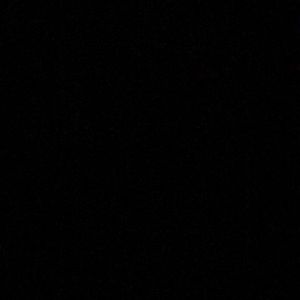 Meet your Posher, Larah